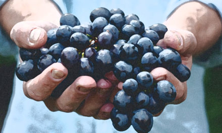 Dar fruto