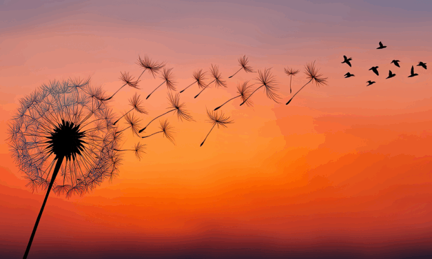 Hay viento por dentro