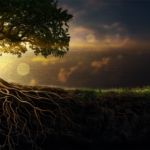 Recuperando nuestras raíces radicales frente al odio imprudente