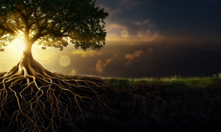 Recuperando nuestras raíces radicales frente al odio imprudente