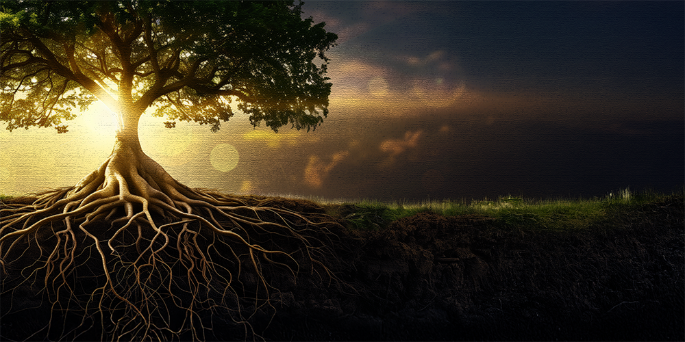 Recuperando nuestras raíces radicales frente al odio imprudente