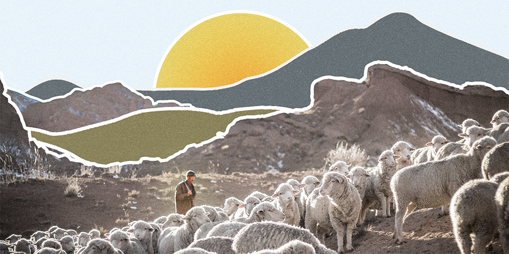 El arco de restauración: autoridad pastoral, consumo del caos y restauración territorial